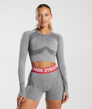 Gymshark Flex Long Sleeve Ženske Ošišane Majice Sive | HR 3649VRW